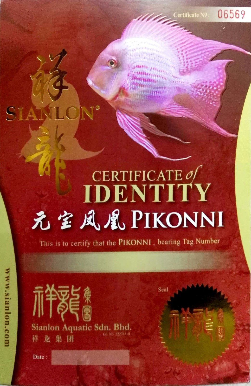 Ogbomosho CERTIFICATE of DENTITY  PIKONNI